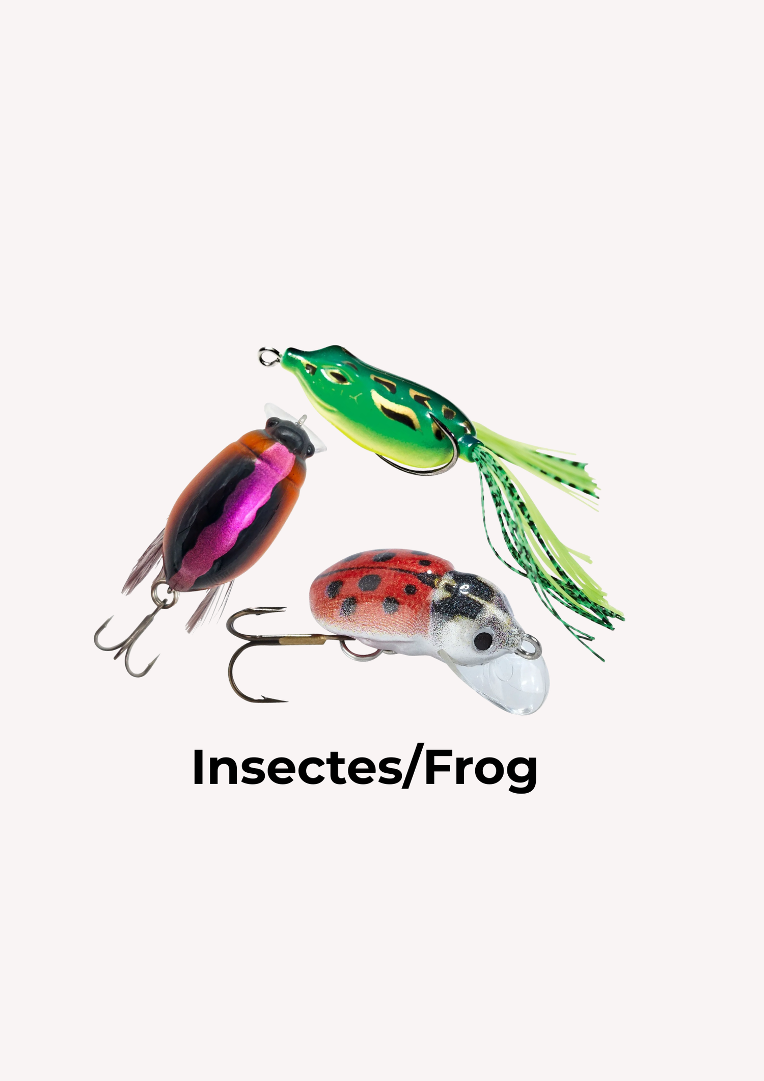 Insectes/Frog
