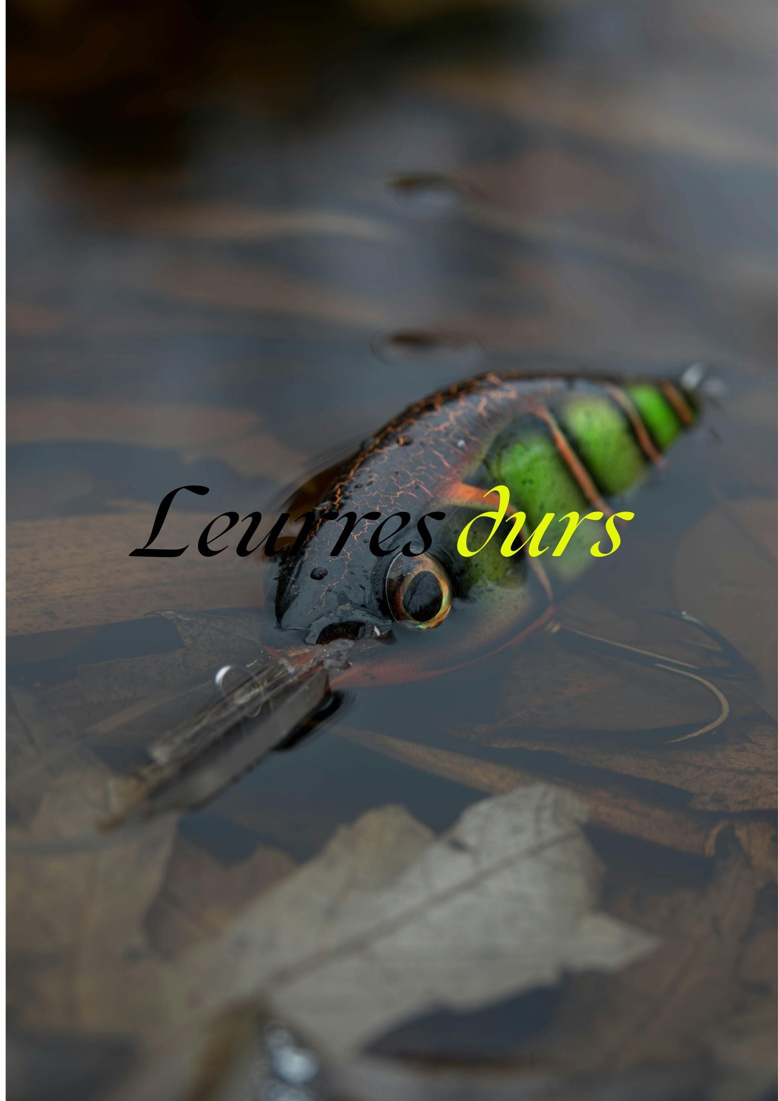 Leurres dures