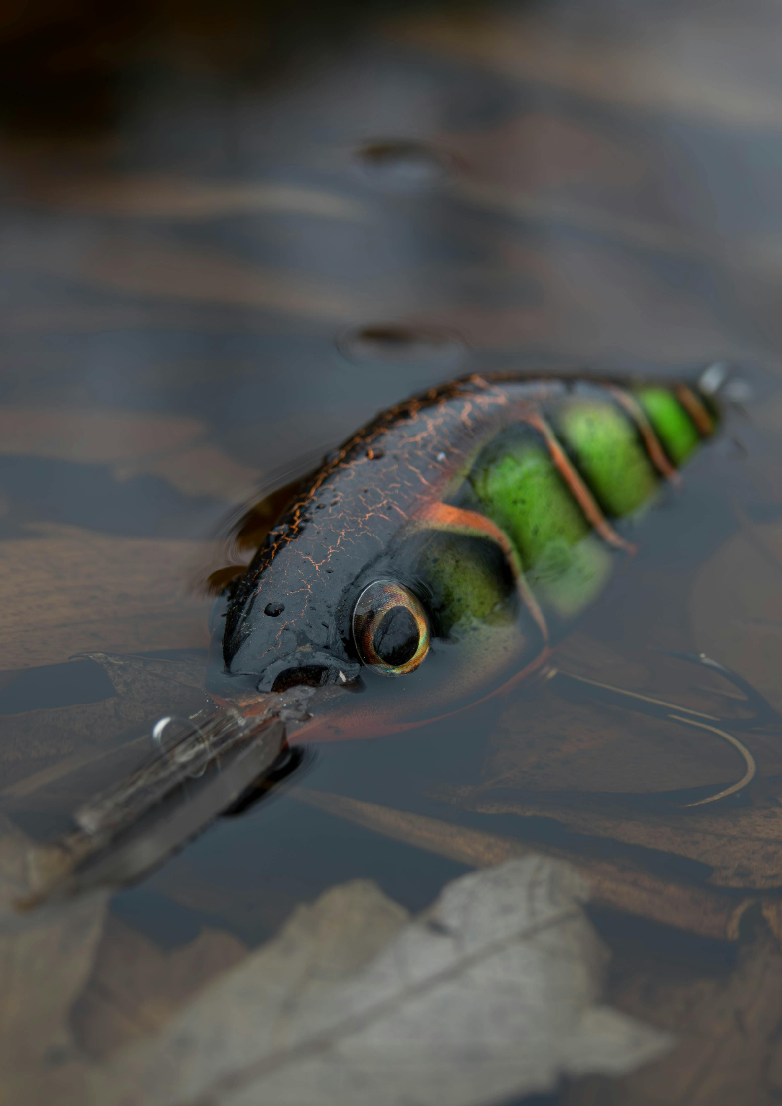 "Testé par les passionnés. Approuvé par les poissons."