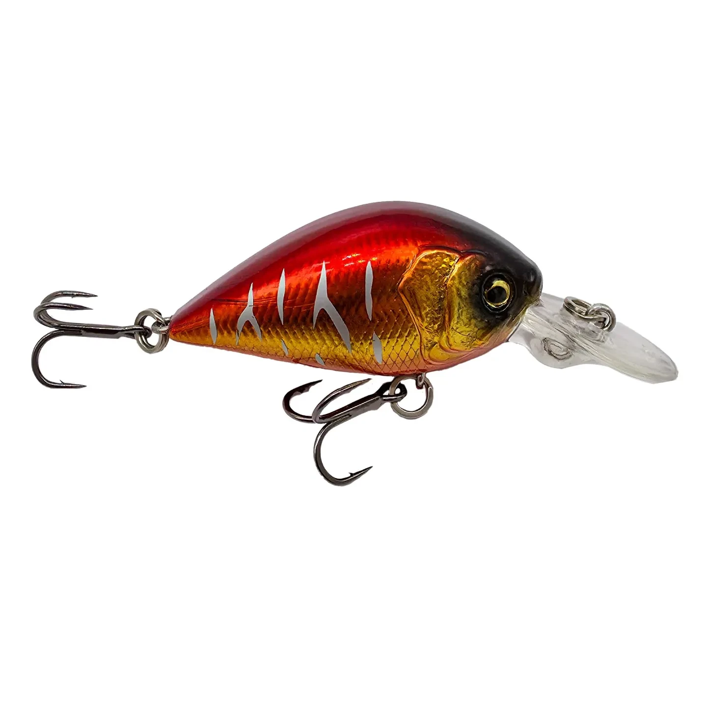 POISSON NAGEUR ADAM'S DORIYU 35 F