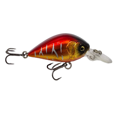 POISSON NAGEUR ADAM'S DORIYU 35 F