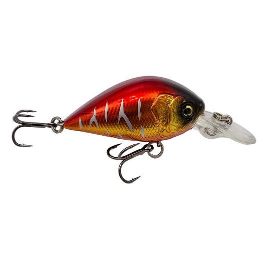 POISSON NAGEUR ADAM'S DORIYU 35 F