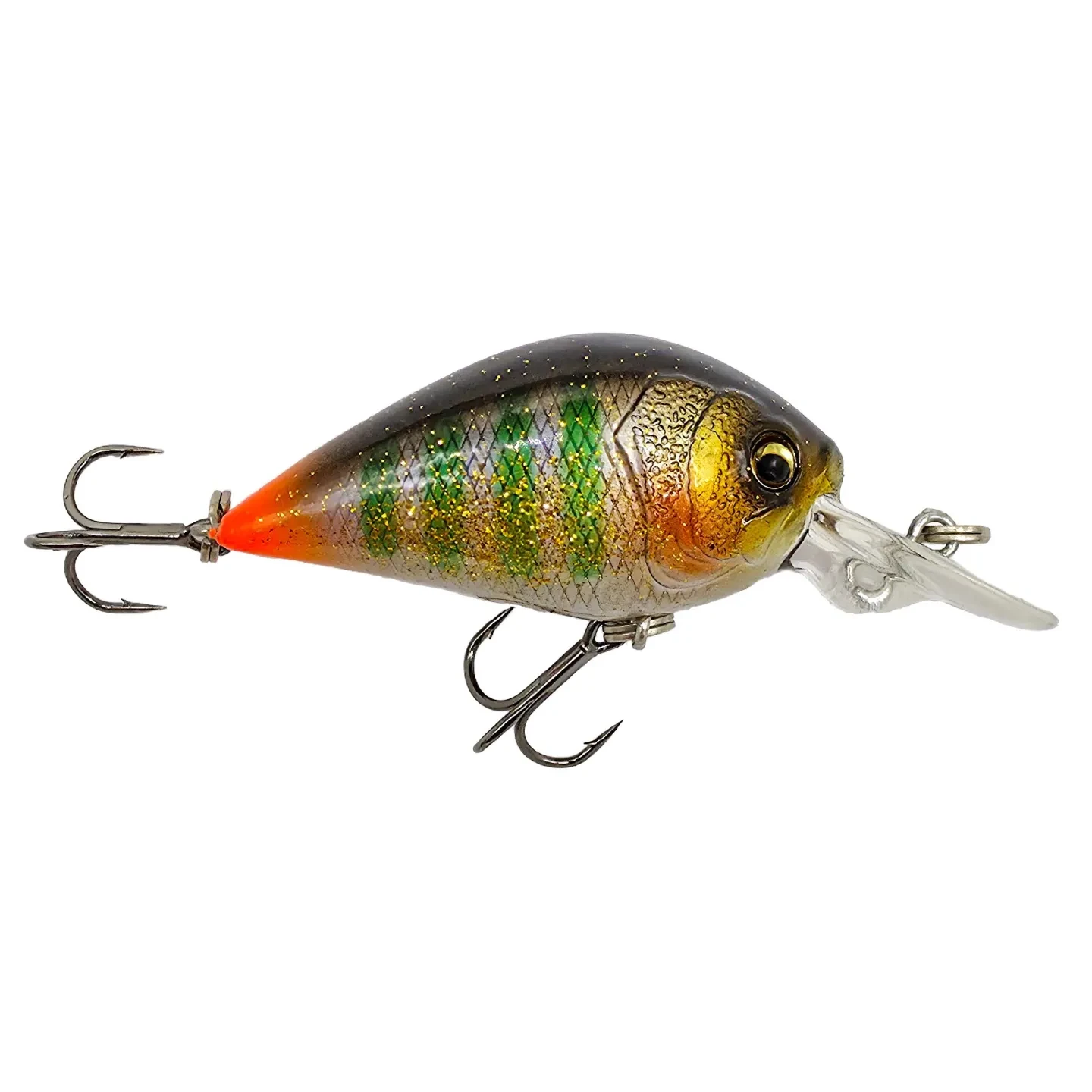 POISSON NAGEUR ADAM'S DORIYU 35 F