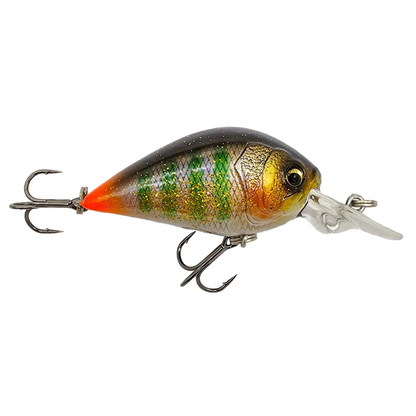 POISSON NAGEUR ADAM'S DORIYU 35 F